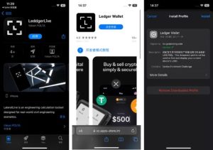 1. (L-R) A phishing app mimicking Ledger on App Store, a web page imitating the App Store to download Ledger Wallet, and the victims allowing a developer profile to be installed on their device, which allows installing apps from outside the App Store including malicious apps